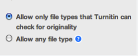 Screenshot showing options to allow different file types